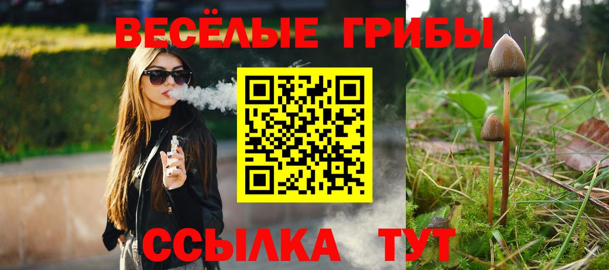 Бузулук  Псилоцибиновые грибы прущие грибы  Вход с VPN  Псилоцибиновые грибы прущие грибы 
